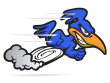 ist1_3108257-roadrunner.jpg