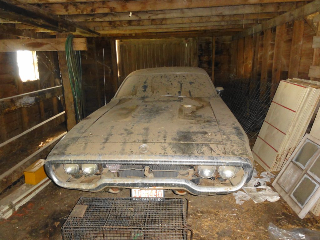 dusty rr.jpg