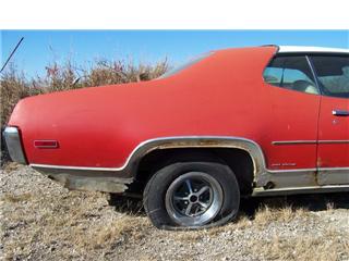 roadrunner.jpg