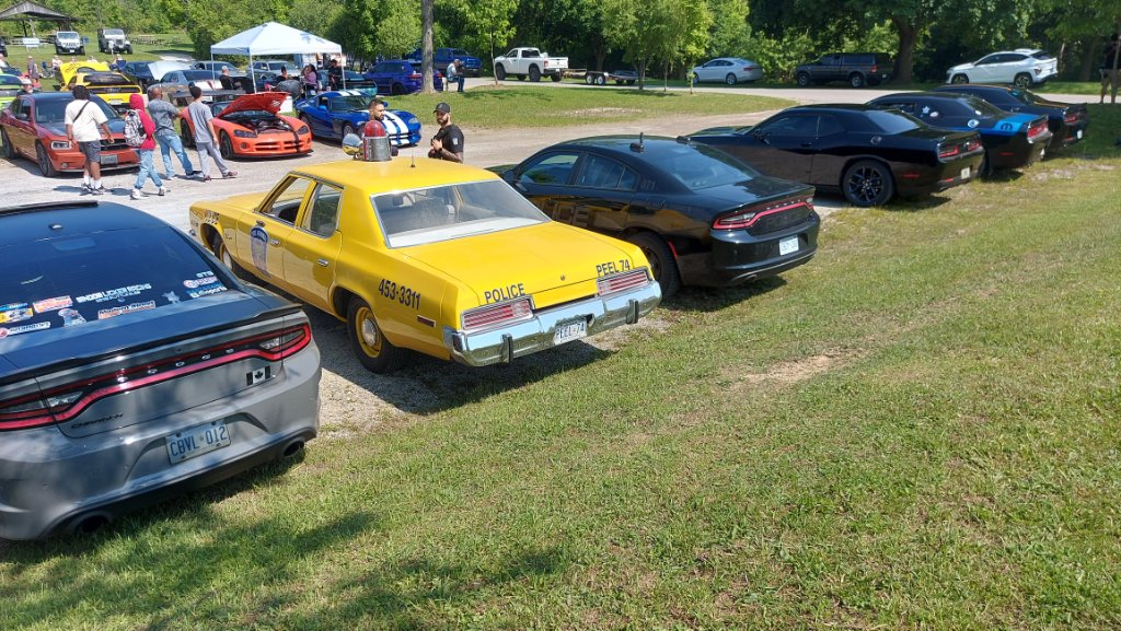 20250607_105614.jpg
