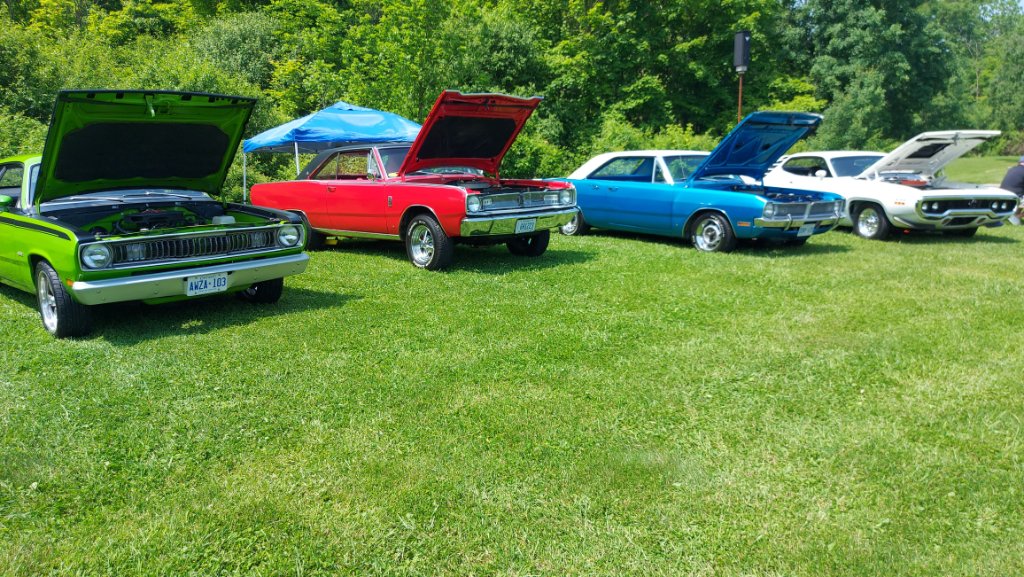 20250607_120353.jpg